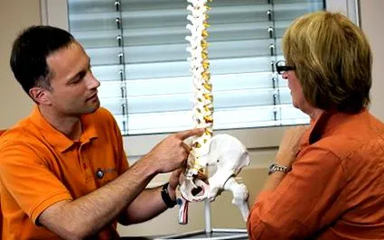 vertebrale