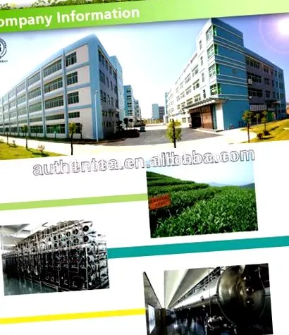 china gyógynövények