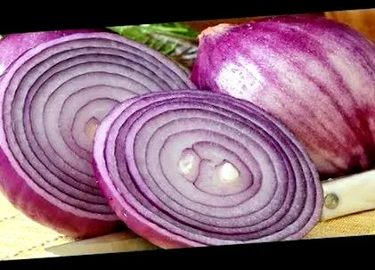 hagyma