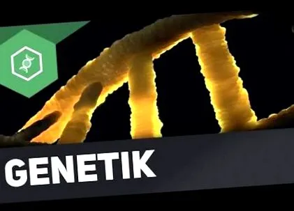 genetikai
