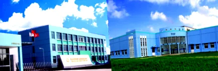 gyömbér