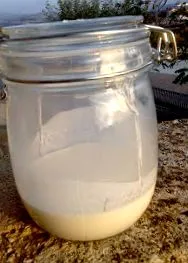 milk