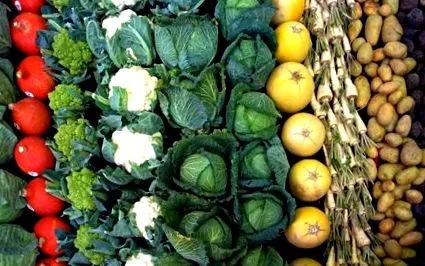 fodmap
