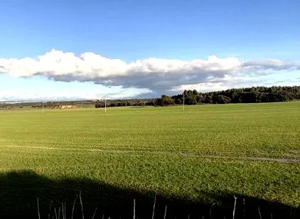 аракс