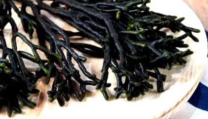 montañes