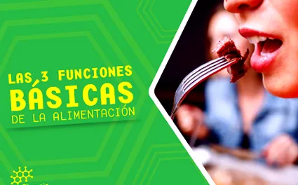 funkciója