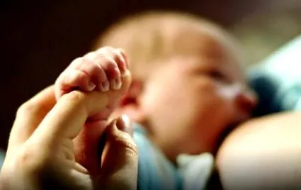 мнението