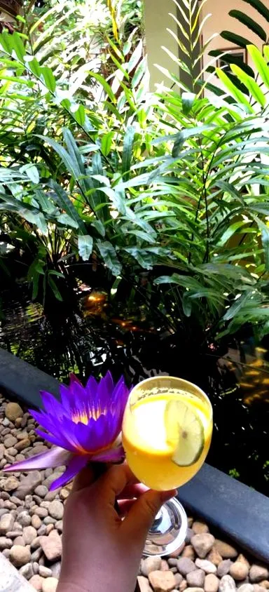 ayurveda barberyn