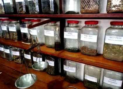 resort ayurveda