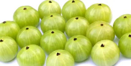 álmatlanság esetén