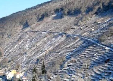 locuri populare
