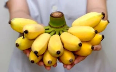 бананова дієта