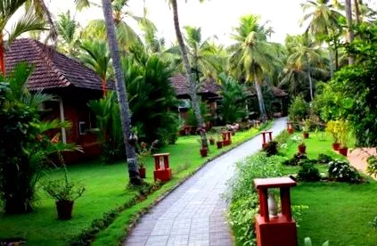 ayurveda