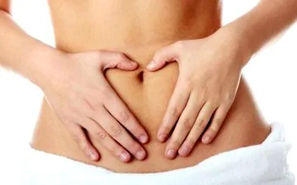abdomen