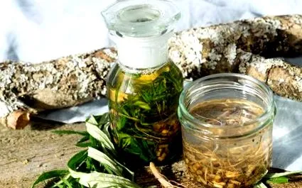 mugwort