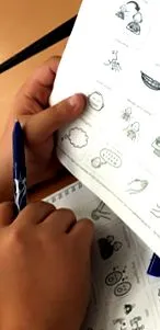 asociația sexuale