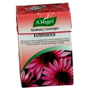 vogel