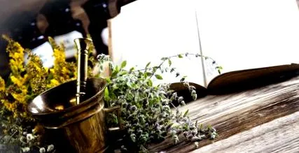 kneipp