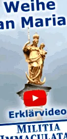 nincs olvasói