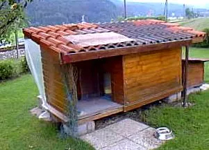 vizibile vizibile