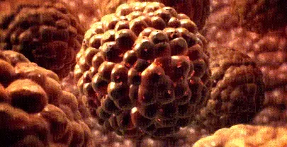 ketózis