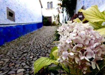 városa