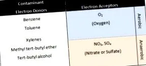 bioremediere