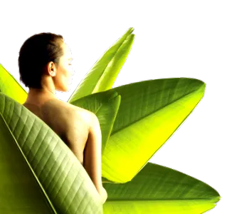 meta
