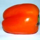 zeaxanthin