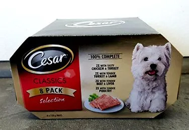 cesar