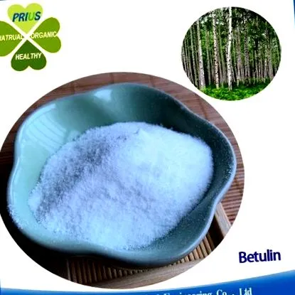 betula