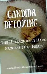 слабеење detoxdiets
