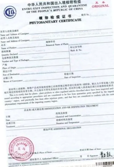 pulbere extract