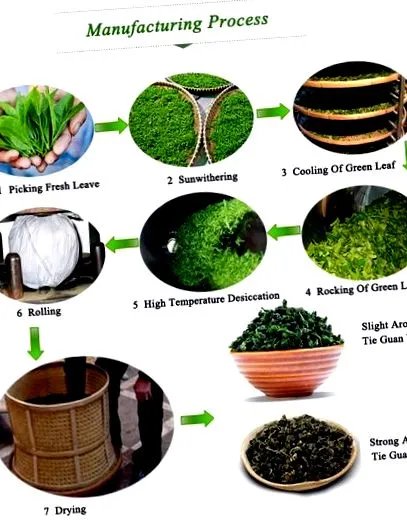 oolong jázmin