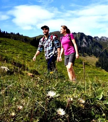 bregenzerwald