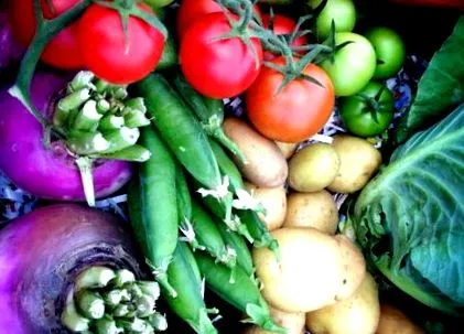 alimentară alimentară