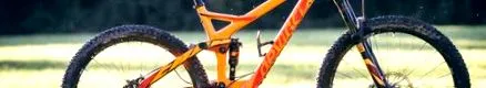carbon troy