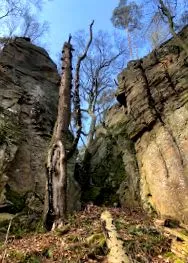 öltésjelző