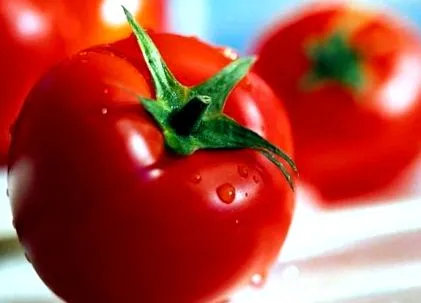 dieta