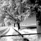fotografie
