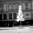 infraroșu