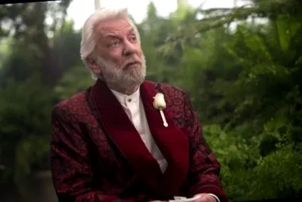 mockingjay