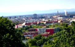 летала
