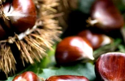 konyha receptek