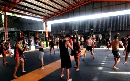 tiger thai