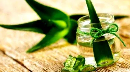 vegane