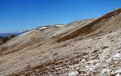дукан