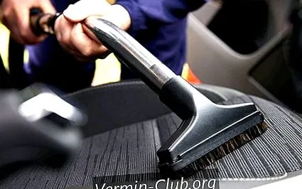 auto eliminați