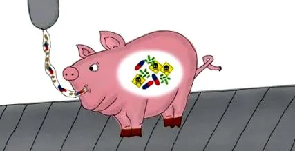 concursului concursului
