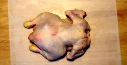carne carne